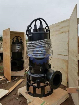 Máy Bơm Chìm Nước Thải CNP 150WQ200-22-22(I)