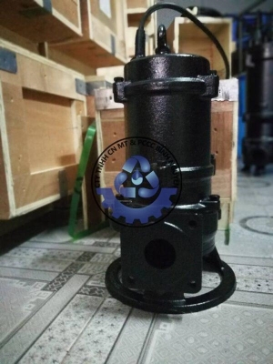 Máy Bơm Chìm Nước Thải CNP 65WQ50-55-15(I)