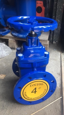 VAN CỔNG TY CHÌM AUT BS5163 DN50