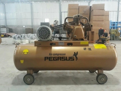 Máy nén khí dây đai PEGASUS TM-W-0.36/8-180L