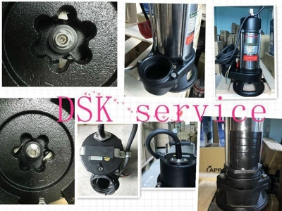 Máy Bơm Cắt Được Tạp Chất APP DSK-20T