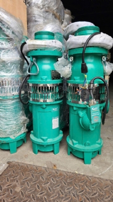 Bơm thả chìm trục đứng 65QY25-36-3/380V