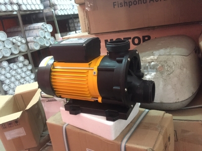 Máy bơm Ewara TDA 100