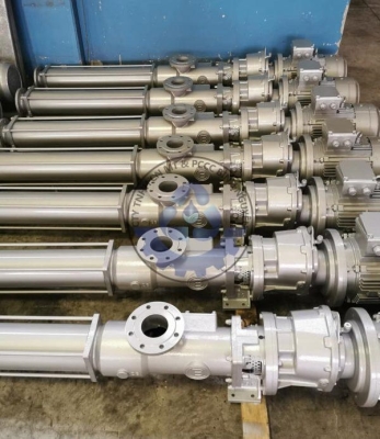 Máy Bơm Trục Vít Bellin NG3000L PCW 2stage