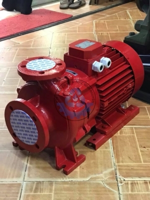 Máy Bơm SAER IR40-200C