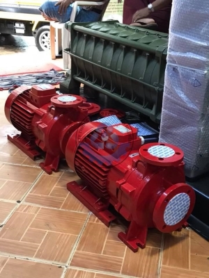Máy Bơm SAER IR65-160B