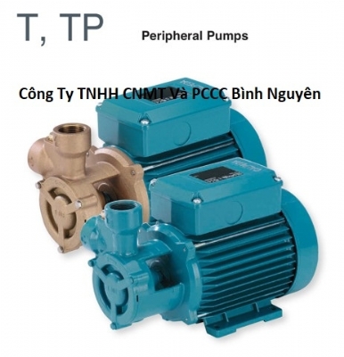 Máy bơm ngoại vi kiểu cánh Turbine Calpeda T 61E