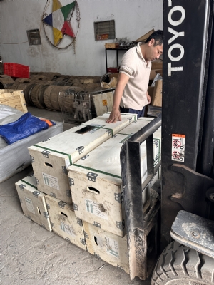 Bơm thả chìm trục đứng 50QY10-165/6-11/380V