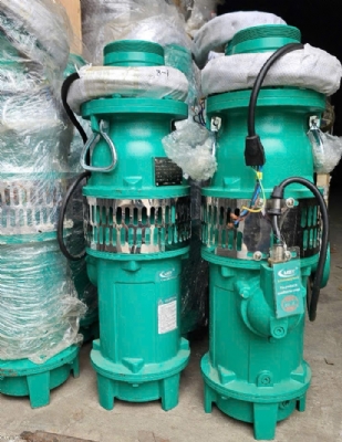 Bơm thả chìm trục đứng 50QY10-83/3-5.5/380V