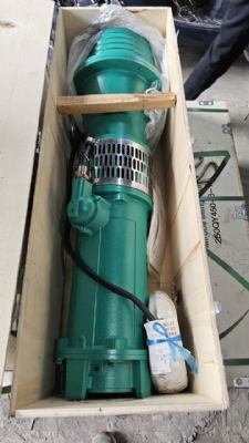 Bơm thả chìm trục đứng 100QY65-25-7.5/380V
